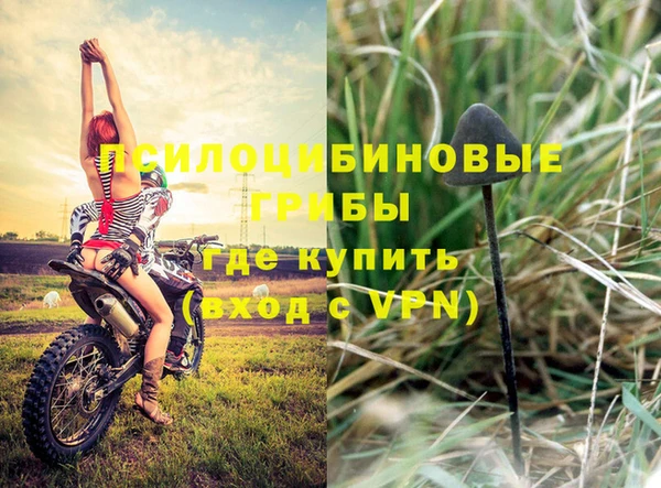 прущие крисы Осинники