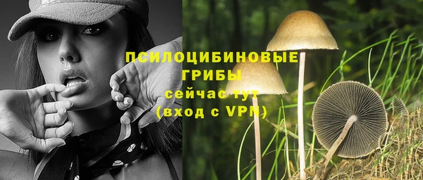 гидропоника Осташков