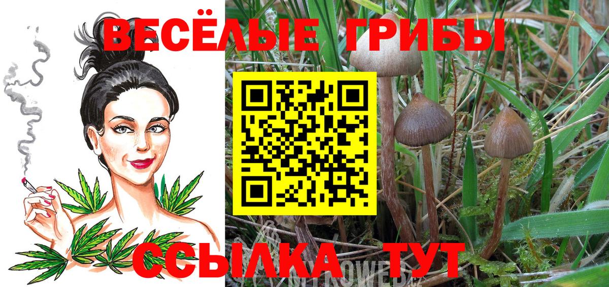 даркнет сайт  Галлюциногенные грибы GOLDEN TEACHER  Псилоцибиновые грибы Magic Shrooms  Вход с VPN  Богородск 