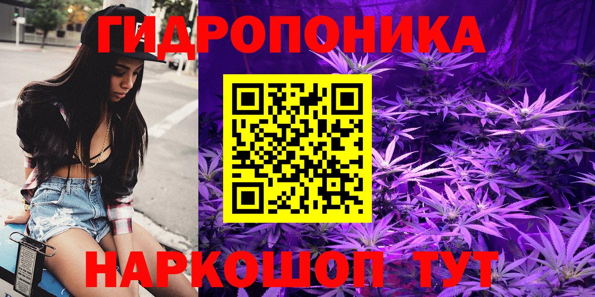 Бошки Шишки AK-47  Богородск  Бошки Шишки семена  Каннабис тримм 